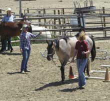 Photo of course drills during Academy of Natural Horsemanship Class